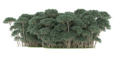 Realistic forest isolated on white background. 3d rendering - illustration