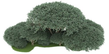 Realistic forest isolated on white background. 3d rendering - illustration