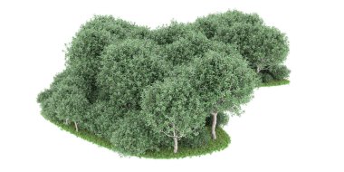Realistic forest isolated on white background. 3d rendering - illustration