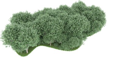 Realistic forest isolated on white background. 3d rendering - illustration