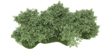 Realistic forest isolated on white background. 3d rendering - illustration