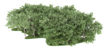 Realistic forest isolated on white background. 3d rendering - illustration
