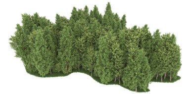 Realistic forest isolated on white background. 3d rendering - illustration