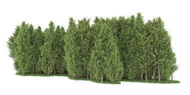 Realistic forest isolated on white background. 3d rendering - illustration
