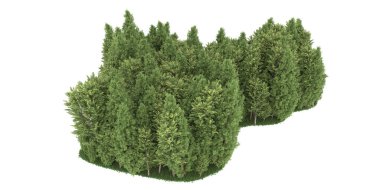 Realistic forest isolated on white background. 3d rendering - illustration