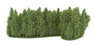 Realistic forest isolated on white background. 3d rendering - illustration