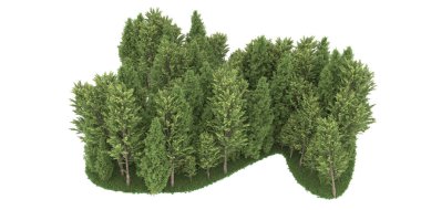 Realistic forest isolated on white background. 3d rendering - illustration