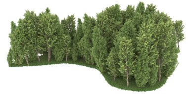 Realistic forest isolated on white background. 3d rendering - illustration