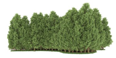 Realistic forest isolated on white background. 3d rendering - illustration