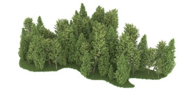 Realistic forest isolated on white background. 3d rendering - illustration