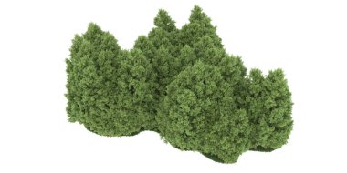 Realistic forest isolated on white background. 3d rendering - illustration