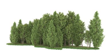 Realistic forest isolated on white background. 3d rendering - illustration