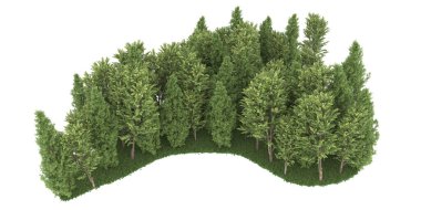 Realistic forest isolated on white background. 3d rendering - illustration