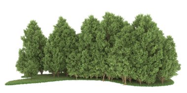 Realistic forest isolated on white background. 3d rendering - illustration