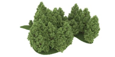 Realistic forest isolated on white background. 3d rendering - illustration