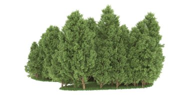 Realistic forest isolated on white background. 3d rendering - illustration
