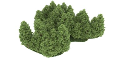 Realistic forest isolated on white background. 3d rendering - illustration