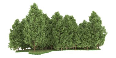 Realistic forest isolated on white background. 3d rendering - illustration