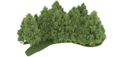 Realistic forest isolated on white background. 3d rendering - illustration