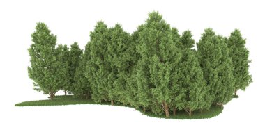 Realistic forest isolated on white background. 3d rendering - illustration