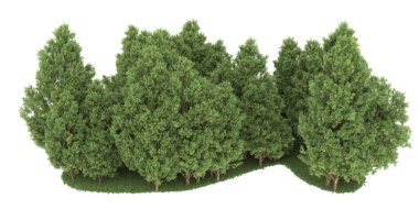 Realistic forest isolated on white background. 3d rendering - illustration
