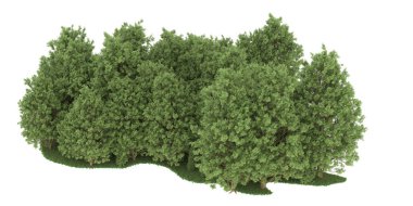 Realistic forest isolated on white background. 3d rendering - illustration