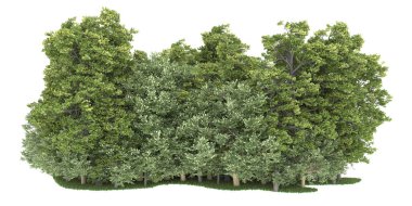 Realistic forest isolated on white background. 3d rendering - illustration