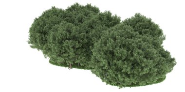 Realistic forest isolated on white background. 3d rendering - illustration