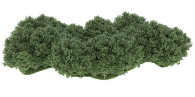 Realistic forest isolated on white background. 3d rendering - illustration