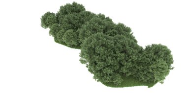 Realistic forest isolated on white background. 3d rendering - illustration