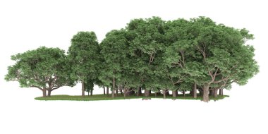 Realistic forest isolated on white background. 3d rendering - illustration
