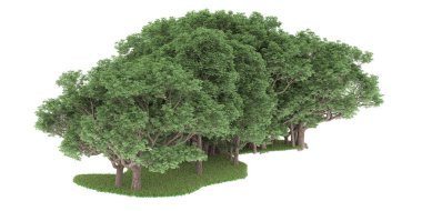 Realistic forest isolated on white background. 3d rendering - illustration
