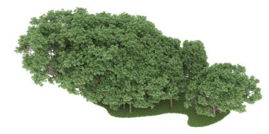 Realistic forest isolated on white background. 3d rendering - illustration