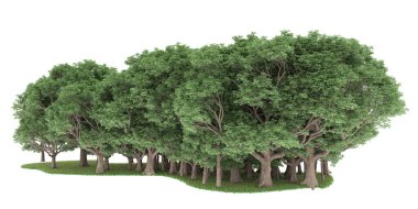 Realistic forest isolated on white background. 3d rendering - illustration