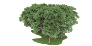 Realistic forest isolated on white background. 3d rendering - illustration