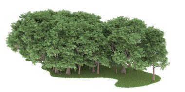 Realistic forest isolated on white background. 3d rendering - illustration