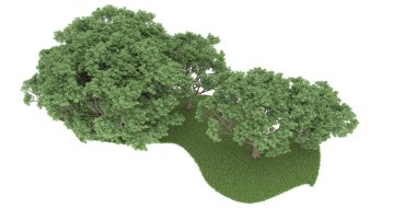 Realistic forest isolated on white background. 3d rendering - illustration