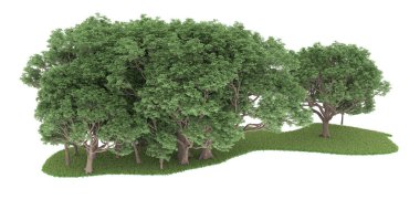 Realistic forest isolated on white background. 3d rendering - illustration