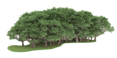 Realistic forest isolated on white background. 3d rendering - illustration
