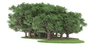 Realistic forest isolated on white background. 3d rendering - illustration