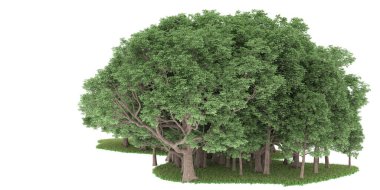 Realistic forest isolated on white background. 3d rendering - illustration