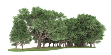 Realistic forest isolated on white background. 3d rendering - illustration