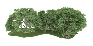 Realistic forest isolated on white background. 3d rendering - illustration