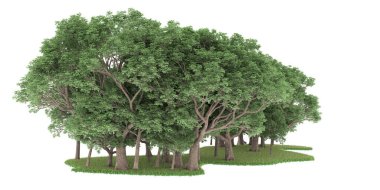 Realistic forest isolated on white background. 3d rendering - illustration