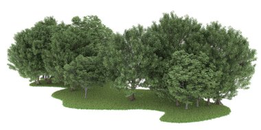 Realistic forest isolated on white background. 3d rendering - illustration