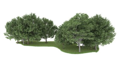 Realistic forest isolated on white background. 3d rendering - illustration