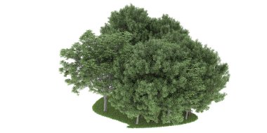 Realistic forest isolated on white background. 3d rendering - illustration