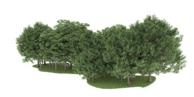 Realistic forest isolated on white background. 3d rendering - illustration