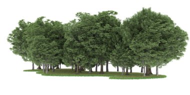 Realistic forest isolated on white background. 3d rendering - illustration