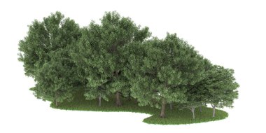 Realistic forest isolated on white background. 3d rendering - illustration